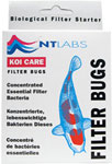 Filter Bugs