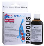 Propolis