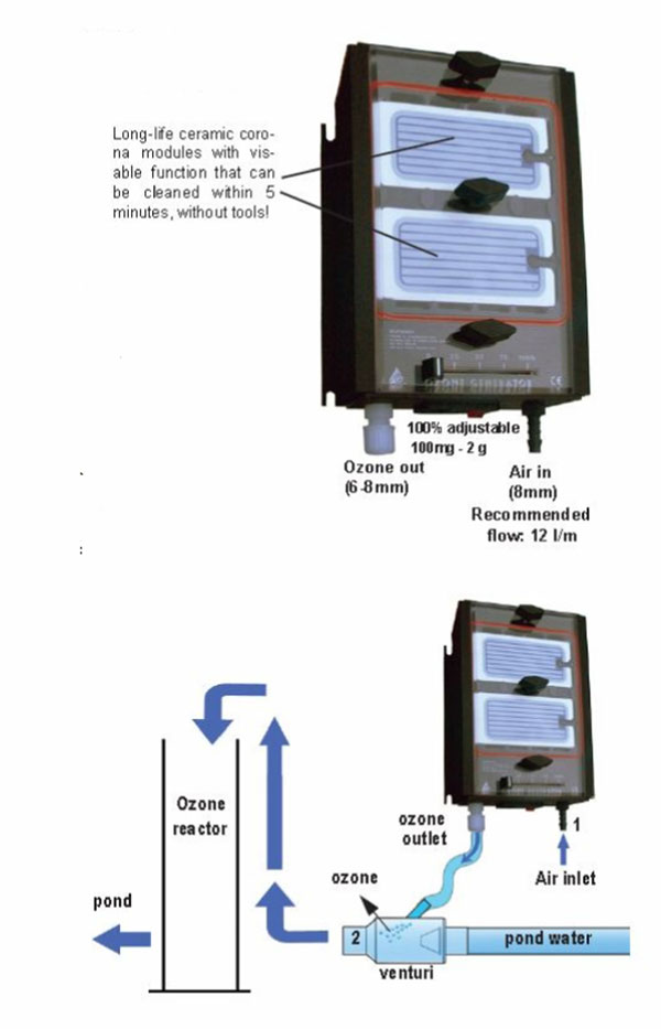 Aquaforte 2 Gram Ozone Generator