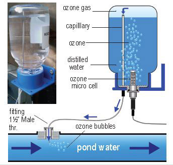 Aquaforte KOIZO³ Ozone Cell