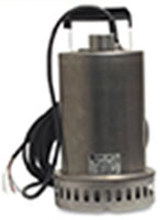 Clean Water Submersible Pump with Float Option