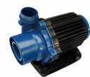 Blue Eco Pumps