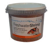 Freshwater Shrimps